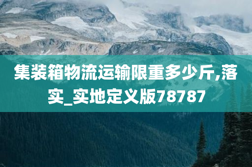 集装箱物流运输限重多少斤,落实_实地定义版78787