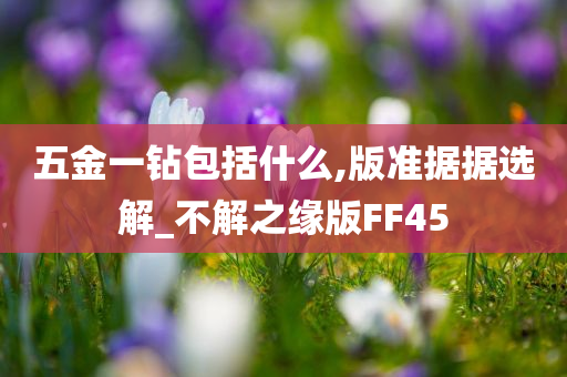 五金一钻包括什么,版准据据选解_不解之缘版FF45