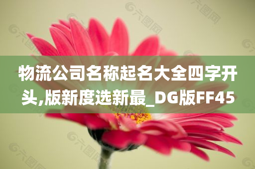 物流公司名称起名大全四字开头,版新度选新最_DG版FF45