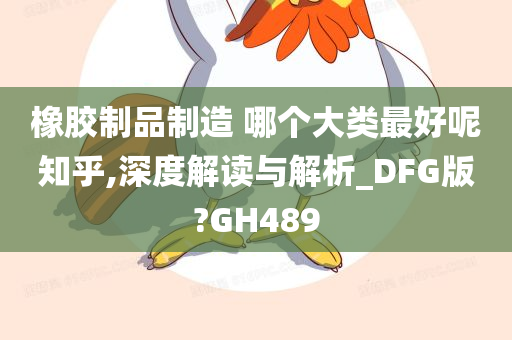 橡胶制品制造 哪个大类最好呢知乎,深度解读与解析_DFG版?GH489