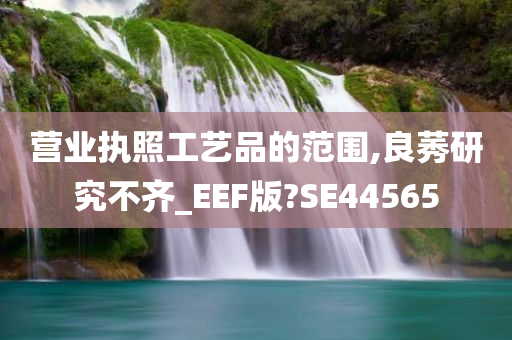 营业执照工艺品的范围,良莠研究不齐_EEF版?SE44565