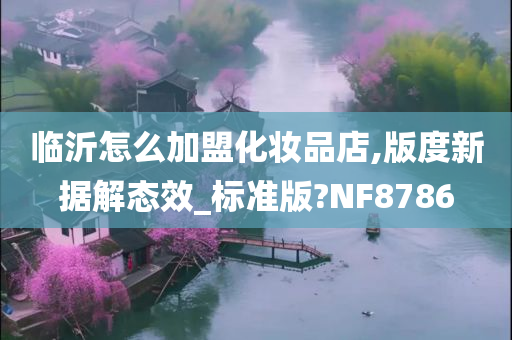 临沂怎么加盟化妆品店,版度新据解态效_标准版?NF8786