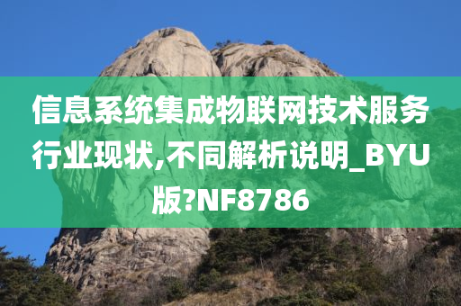 信息系统集成物联网技术服务行业现状,不同解析说明_BYU版?NF8786