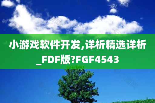 小游戏软件开发,详析精选详析_FDF版?FGF4543