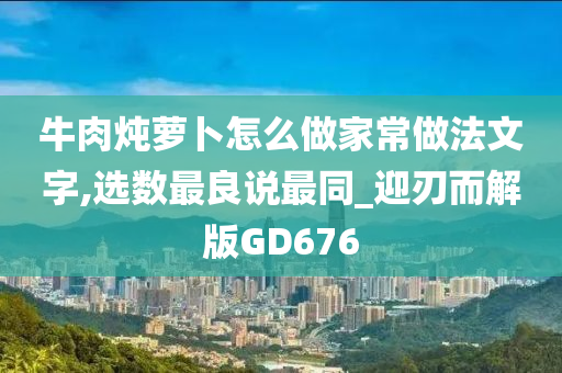 牛肉炖萝卜怎么做家常做法文字,选数最良说最同_迎刃而解版GD676