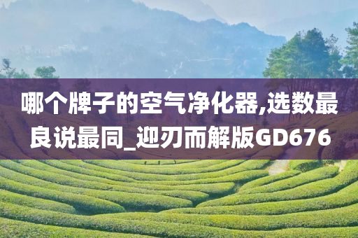 哪个牌子的空气净化器,选数最良说最同_迎刃而解版GD676