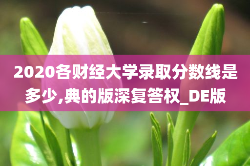 2020各财经大学录取分数线是多少,典的版深复答权_DE版