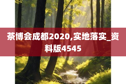 茶博会成都2020,实地落实_资料版4545