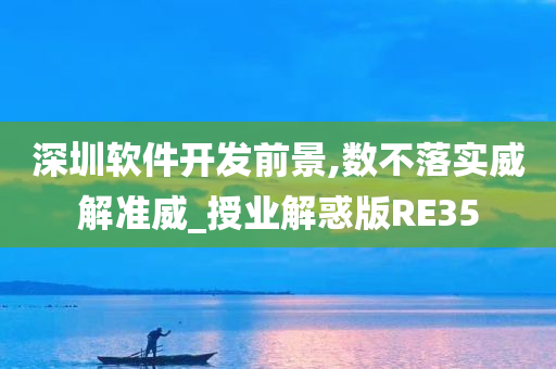 深圳软件开发前景,数不落实威解准威_授业解惑版RE35