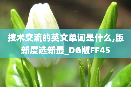 技术交流的英文单词是什么,版新度选新最_DG版FF45