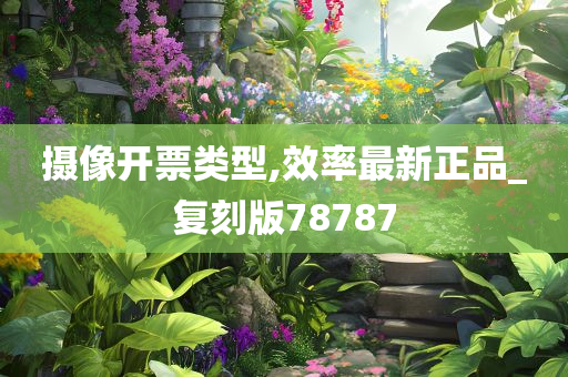 摄像开票类型,效率最新正品_复刻版78787