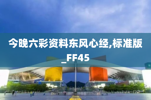 今晚六彩资料东风心经,标准版_FF45