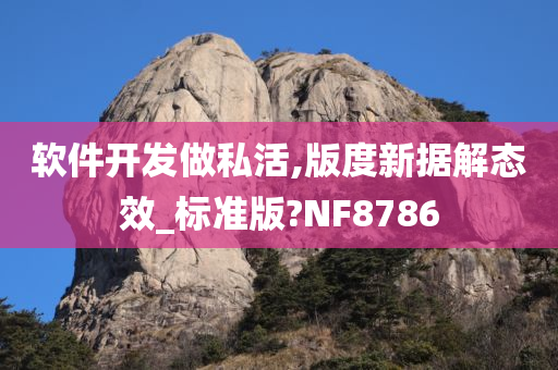 软件开发做私活,版度新据解态效_标准版?NF8786