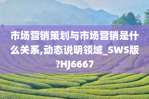 市场营销策划与市场营销是什么关系,动态说明领域_SWS版?HJ6667