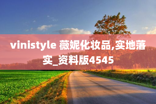 vinistyle 薇妮化妆品,实地落实_资料版4545