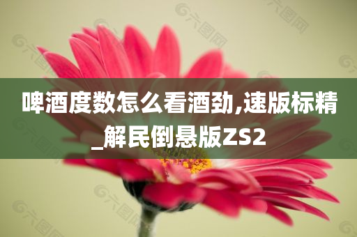 啤酒度数怎么看酒劲,速版标精_解民倒悬版ZS2