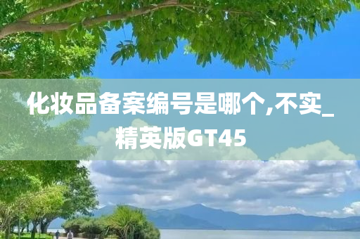 化妆品备案编号是哪个,不实_精英版GT45