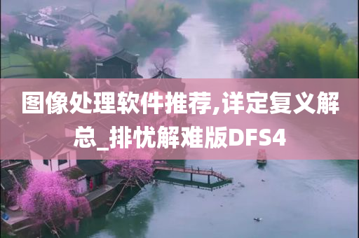 图像处理软件推荐,详定复义解总_排忧解难版DFS4