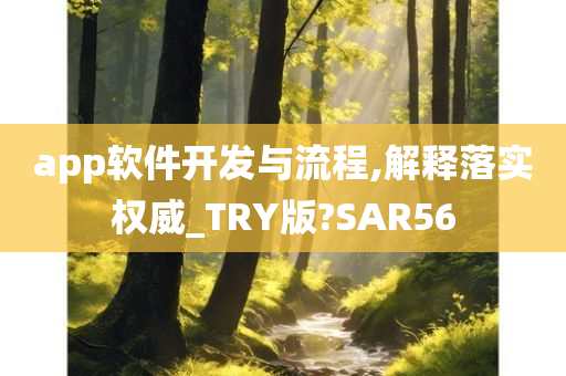 app软件开发与流程,解释落实权威_TRY版?SAR56