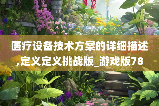 医疗设备技术方案的详细描述,定义定义挑战版_游戏版78