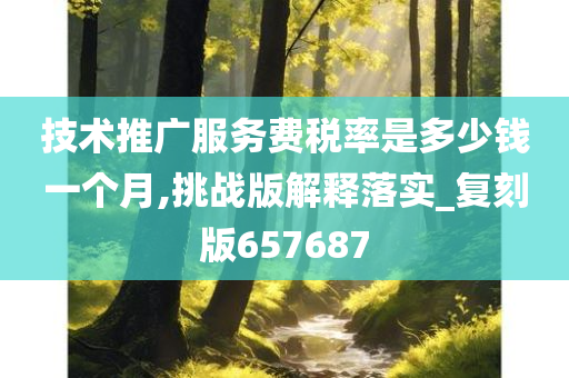 技术推广服务费税率是多少钱一个月,挑战版解释落实_复刻版657687