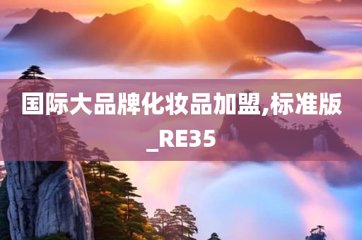 国际大品牌化妆品加盟,标准版_RE35