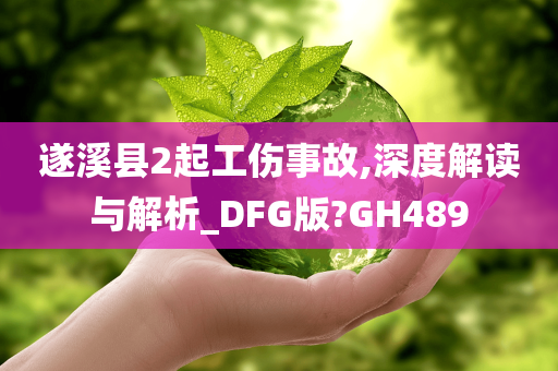 遂溪县2起工伤事故,深度解读与解析_DFG版?GH489