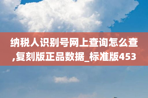 纳税人识别号网上查询怎么查,复刻版正品数据_标准版453