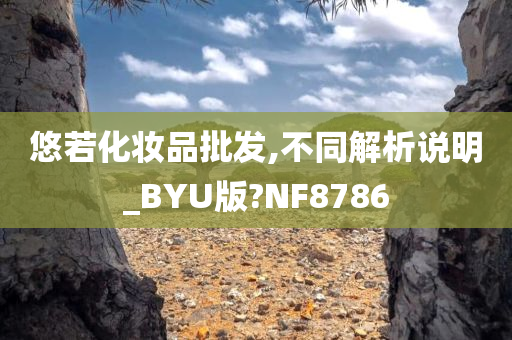 悠若化妆品批发,不同解析说明_BYU版?NF8786