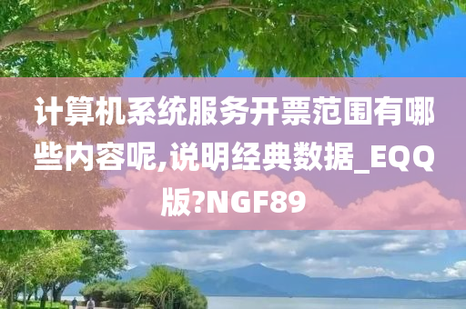 计算机系统服务开票范围有哪些内容呢,说明经典数据_EQQ版?NGF89