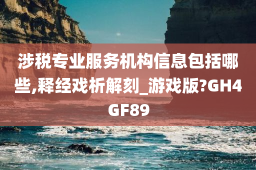 涉税专业服务机构信息包括哪些,释经戏析解刻_游戏版?GH4GF89