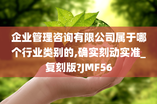 企业管理咨询有限公司属于哪个行业类别的,确实刻动实准_复刻版?JMF56