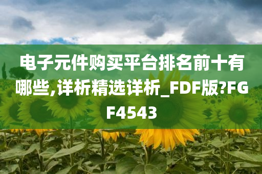 电子元件购买平台排名前十有哪些,详析精选详析_FDF版?FGF4543