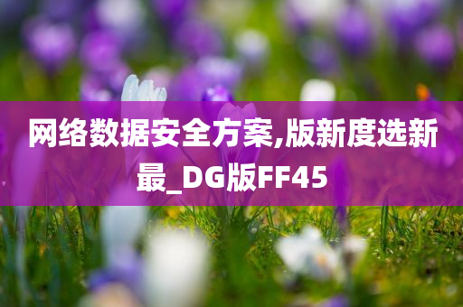 网络数据安全方案,版新度选新最_DG版FF45