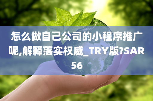 怎么做自己公司的小程序推广呢,解释落实权威_TRY版?SAR56