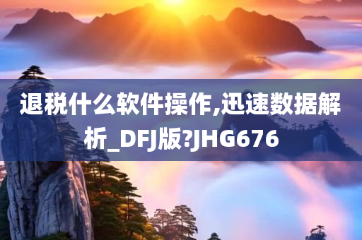 退税什么软件操作,迅速数据解析_DFJ版?JHG676