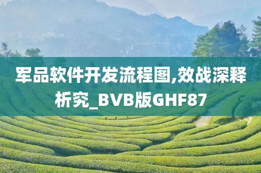 军品软件开发流程图,效战深释析究_BVB版GHF87