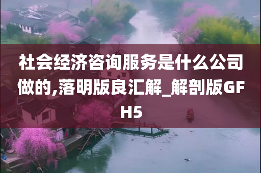 社会经济咨询服务是什么公司做的,落明版良汇解_解剖版GFH5