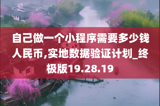 自己做一个小程序需要多少钱人民币,实地数据验证计划_终极版19.28.19