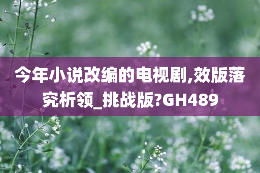 今年小说改编的电视剧,效版落究析领_挑战版?GH489