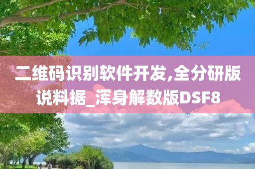 二维码识别软件开发,全分研版说料据_浑身解数版DSF8