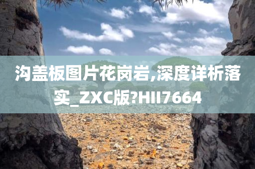 沟盖板图片花岗岩,深度详析落实_ZXC版?HII7664