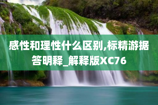 感性和理性什么区别,标精游据答明释_解释版XC76