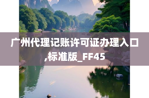 广州代理记账许可证办理入口,标准版_FF45