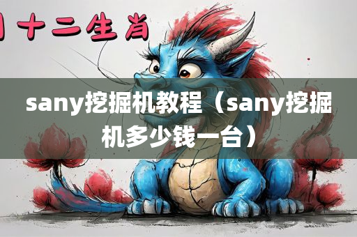 sany挖掘机教程（sany挖掘机多少钱一台）