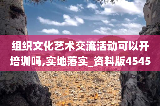 组织文化艺术交流活动可以开培训吗,实地落实_资料版4545