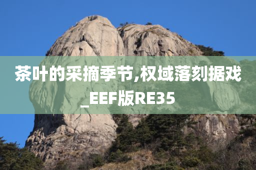 茶叶的采摘季节,权域落刻据戏_EEF版RE35