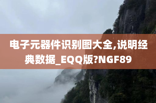 电子元器件识别图大全,说明经典数据_EQQ版?NGF89