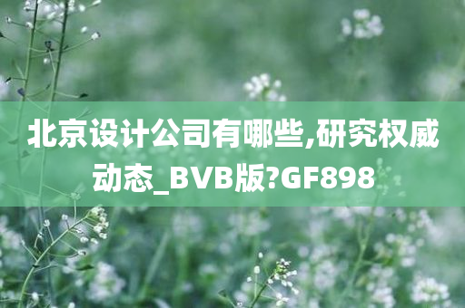 北京设计公司有哪些,研究权威动态_BVB版?GF898