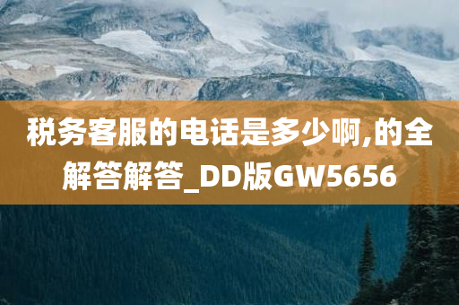 税务客服的电话是多少啊,的全解答解答_DD版GW5656